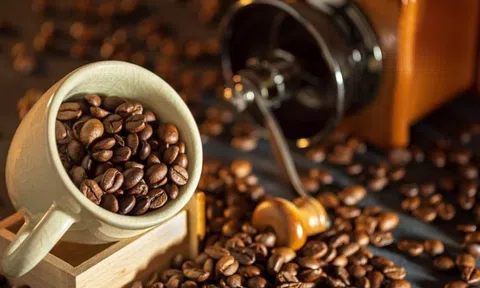 Lý do giá cà phê xuất khẩu suy yếu